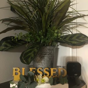 Meet your Posher, Rosie